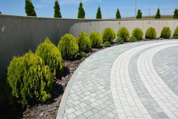 Best Custom Driveway Pavers  in Sparks, TX